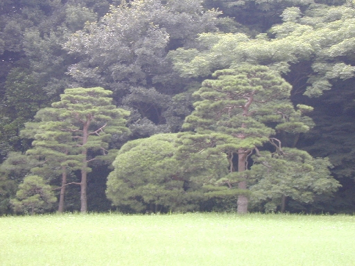 DSCN0006