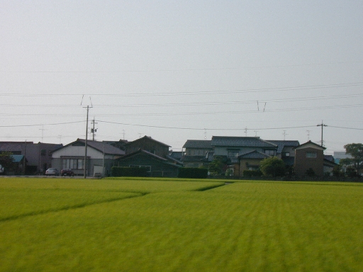 DSCN0141