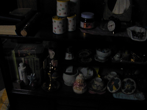 DSCN0153