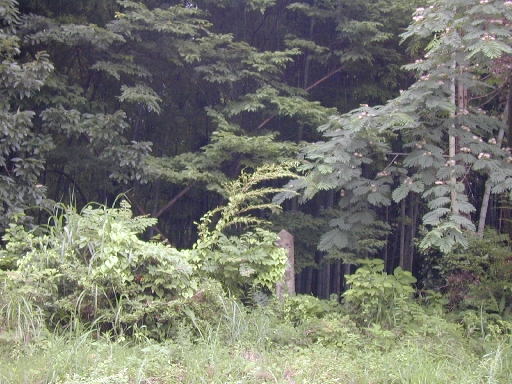 DSCN0196