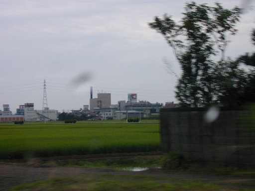 DSCN0202