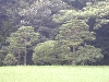 DSCN0006