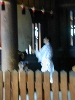 DSCN0015