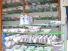 DSCN0161