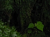 DSCN0194