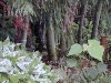 DSCN0195