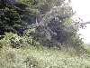 DSCN0197