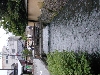 DSCN0222