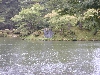 DSCN0225