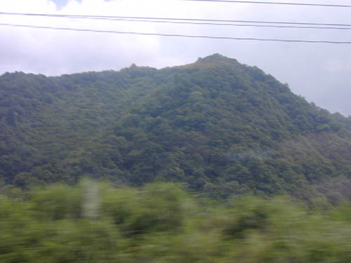 DSCN0111