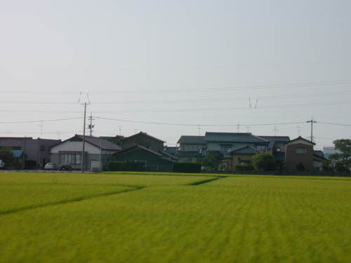 DSCN0141