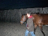 DSCN1463