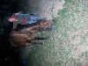 DSCN1467