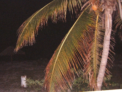 Dscf0033