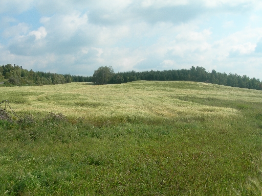 DSCN1714
