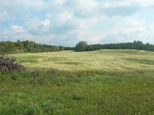 DSCN1715