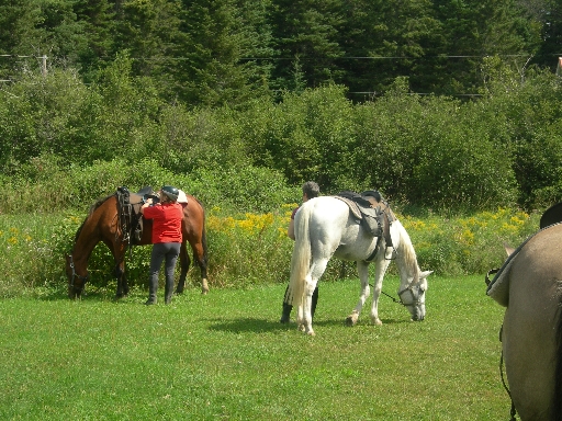 DSCN1731