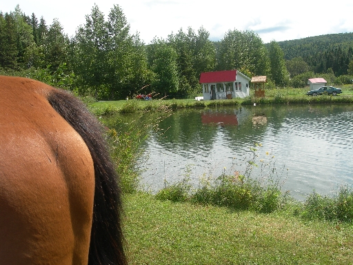 DSCN1737
