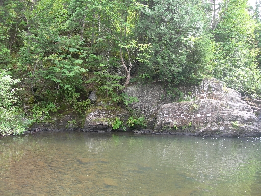 DSCN1749