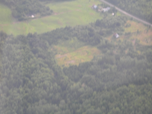 DSCN1768