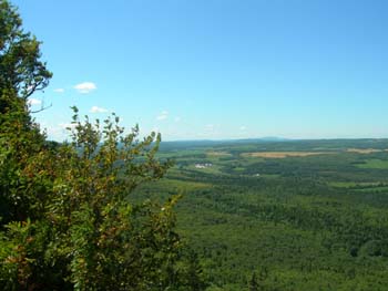 DSCN1825