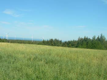 DSCN1859