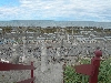 DSCN1684
