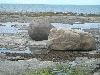 DSCN1685