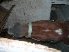 DSCN1697