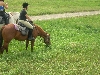 DSCN1700