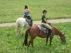 DSCN1701