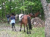 DSCN1707