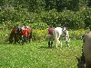 DSCN1732