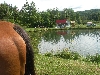 DSCN1737