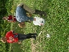 DSCN1744