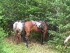 DSCN1745