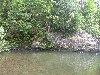 DSCN1749
