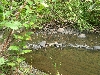 DSCN1751