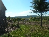 DSCN1812