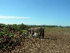 DSCN1815