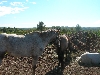 DSCN1819