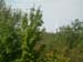 DSCN1863