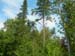 DSCN1874