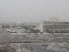 Saddam