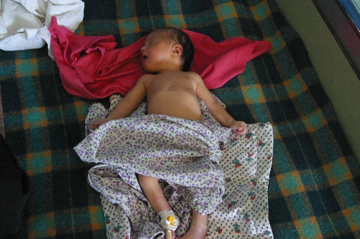 samawah