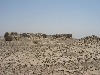 IMG_0009