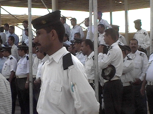 DVC00484