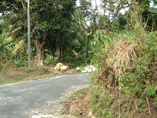 DSCF0649