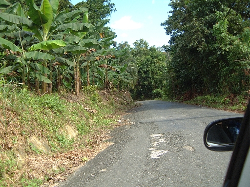 DSCF0650