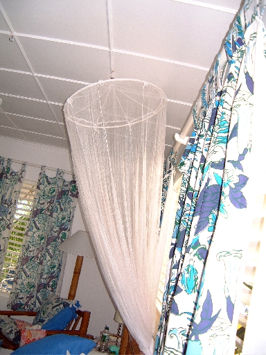 DSCF0684